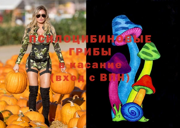 спайс Аркадак