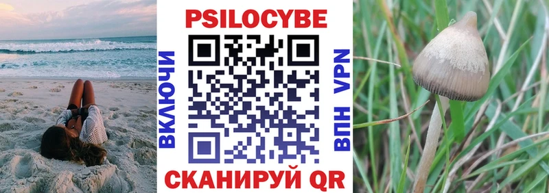 как найти закладки  Барабинск  Псилоцибиновые грибы мухоморы 